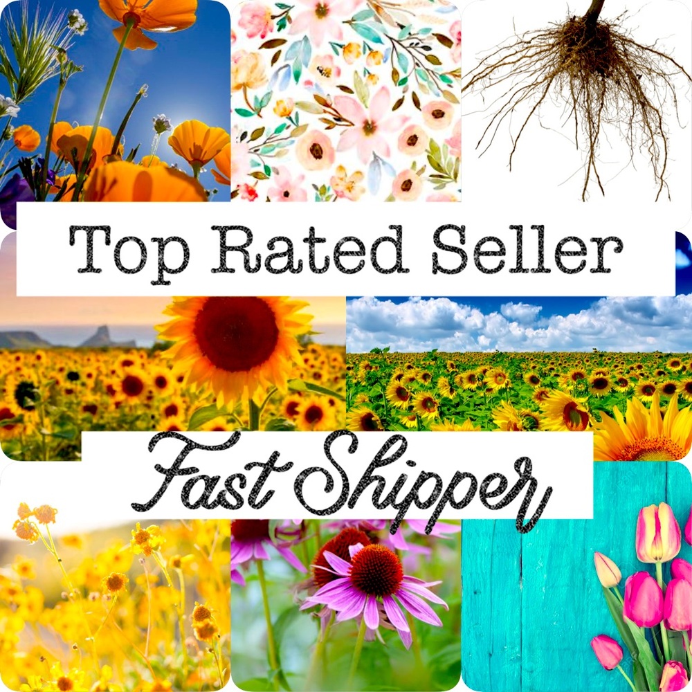 🌟🌟🌟🌟🌟 Star Ratings, Fast Shipper 📦